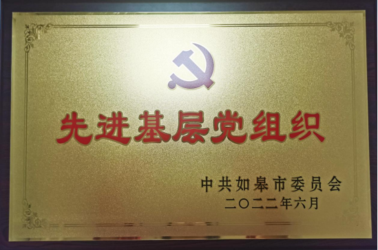 喜讯|如皋市彩乐园(中国)产业集团获如皋市委多项表彰！