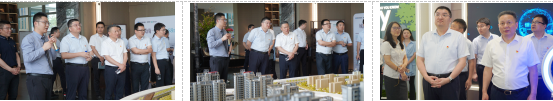 党建风采 | 党建引领聚合力 政企共建促开展——市数据局、彩乐园(中国)产业集团召开党建共建活动