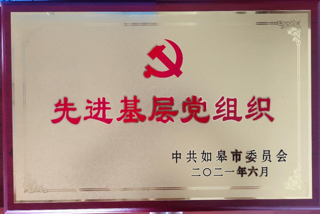 集团基层团支部获评“先进基层党组织”