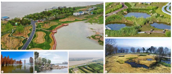 彩乐园(中国)产业集团《一路先锋 助推高质量开展阔步前行》荣获市优秀书记项目！